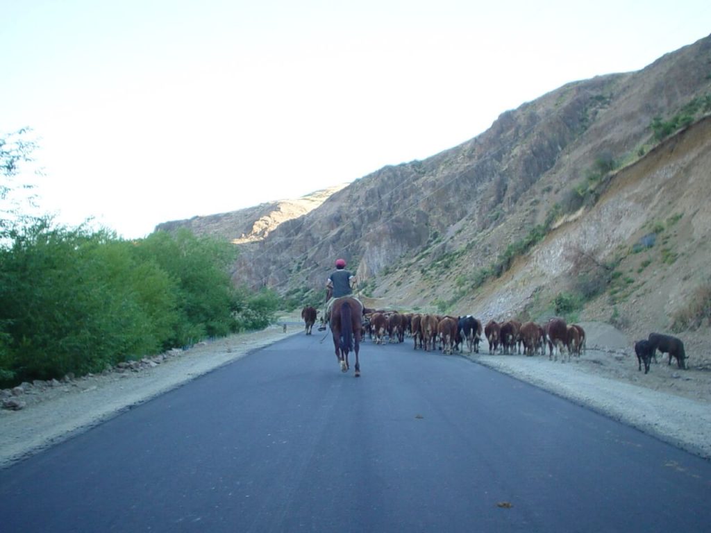 Año del Turismo y Desarrollo Rural