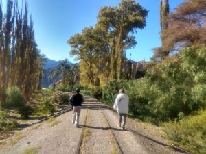 El turismo rural y de naturaleza los elegidos