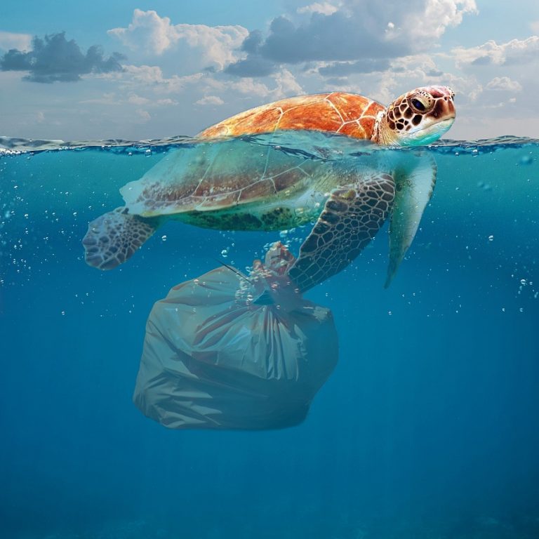 Las bolsas de plástico van al océano